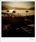 dailyPhoto29